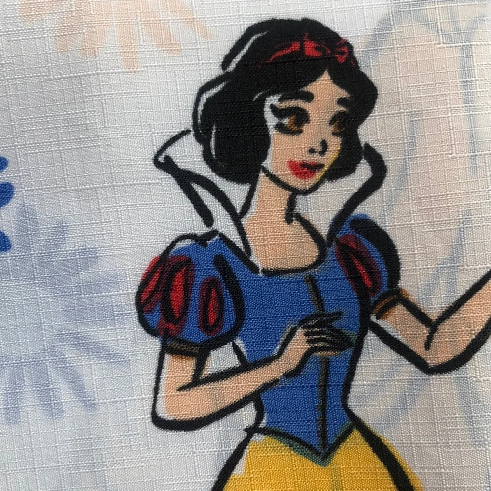 Disney Princess Shower Curtain Set